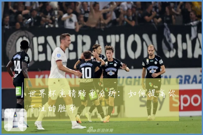 世界杯竞猜赔率分析：如何提高你下注的胜率