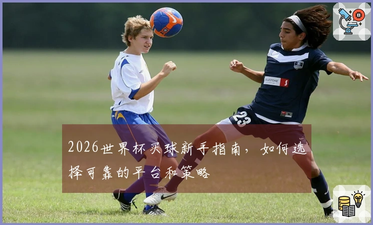 2026世界杯买球新手指南，如何选择可靠的平台和策略