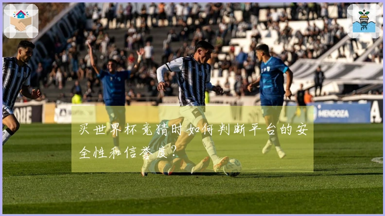买世界杯竞猜时如何判断平台的安全性和信誉度？