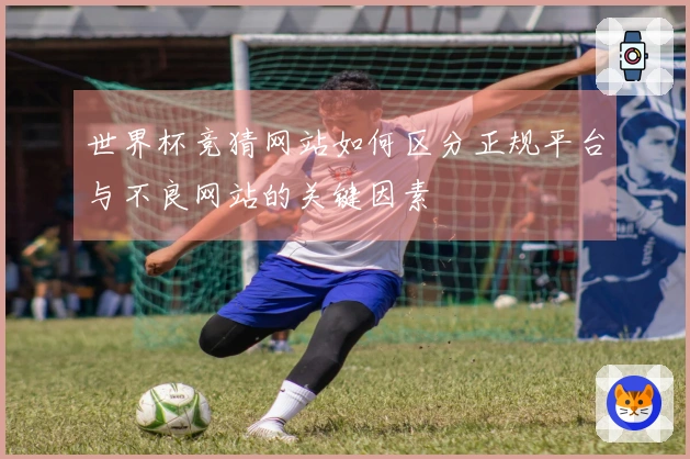 世界杯竞猜网站如何区分正规平台与不良网站的关键因素