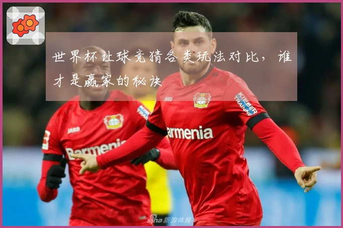 世界杯让球竞猜各类玩法对比，谁才是赢家的秘诀