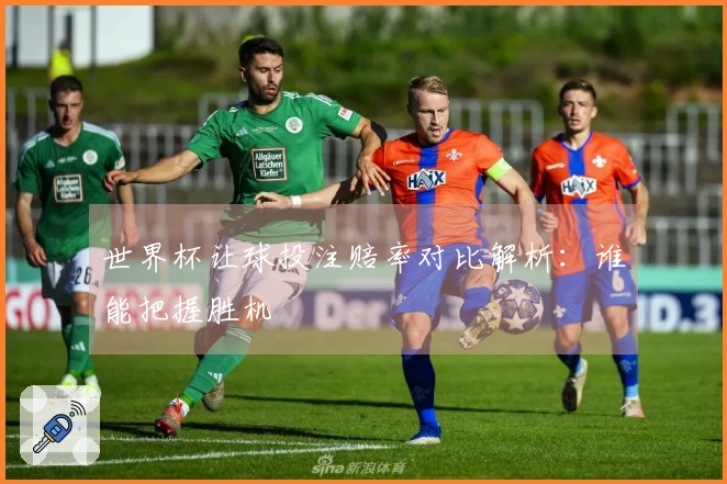 世界杯让球投注赔率对比解析：谁能把握胜机